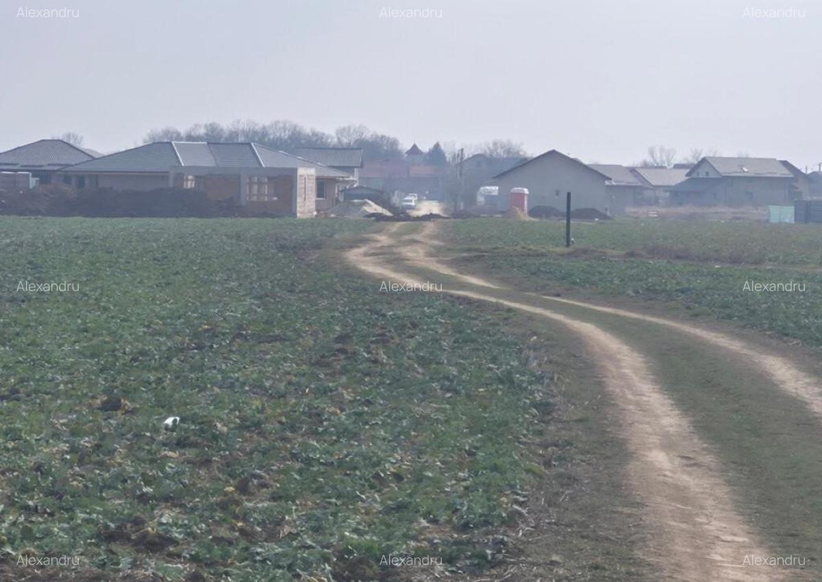 Teren intravilan Balotesti,langa ansamblul Terra si padure, 17000 euro - 3