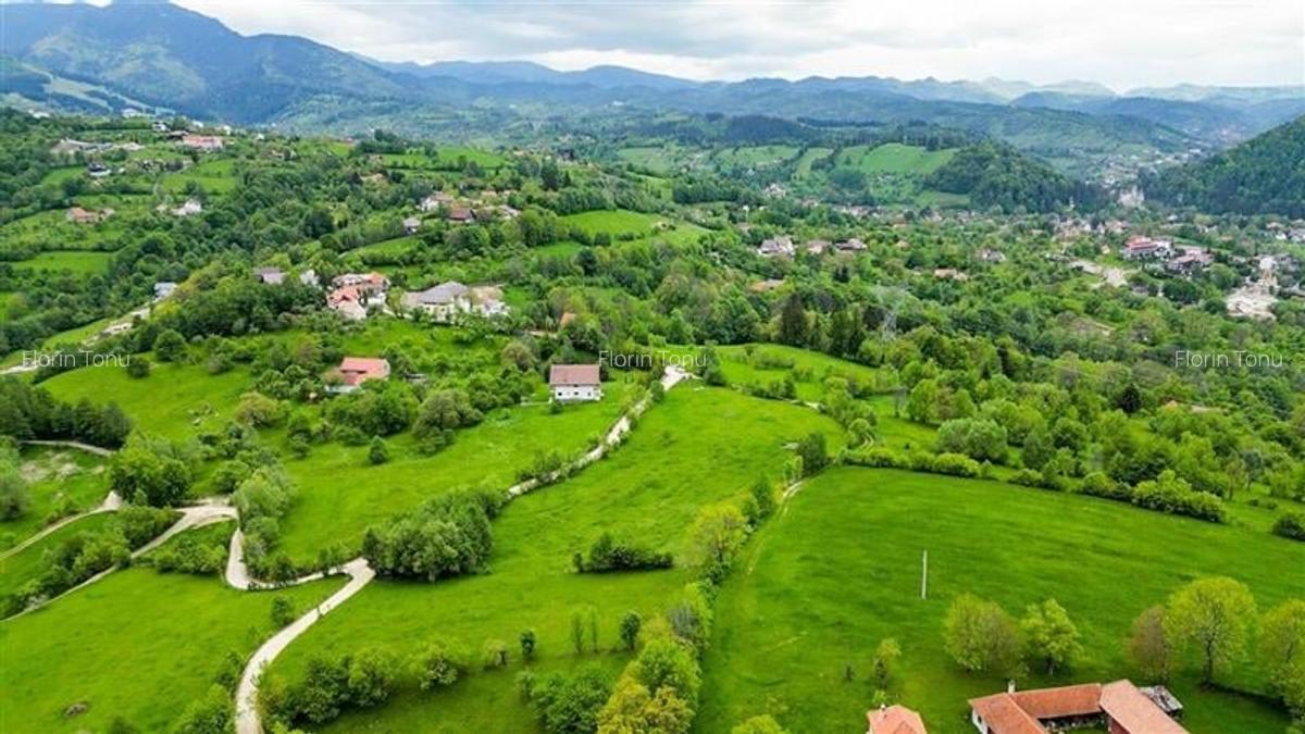 Film! 11.000 mp,pozitionare valoroasa,conditii apreciabile, Sohodol, Bran, Braso - 13