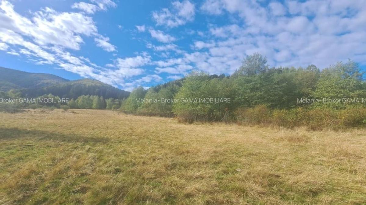 GM53438 Oportunitate investitie in Muntii Fagaras, teren 18000mp - 6