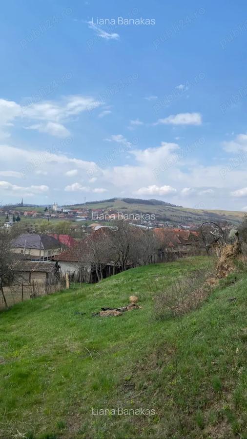 Vand casa taraneasca renovata partial cu 8000 mp gradina - 7