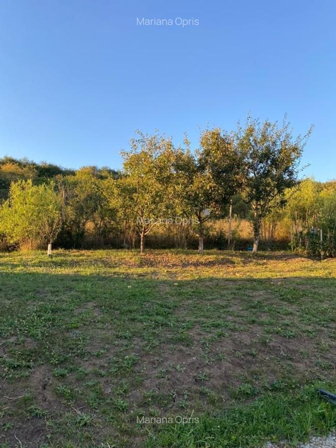 Casa de vanzare in Cartier DaVinci – 118 mp utili, teren generos de 640 mp - 15