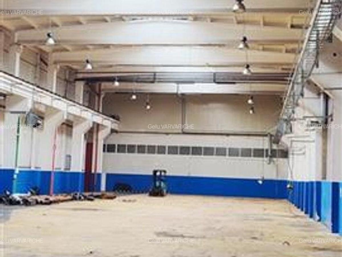 Hale in parcul Roman sau tractorul - 5