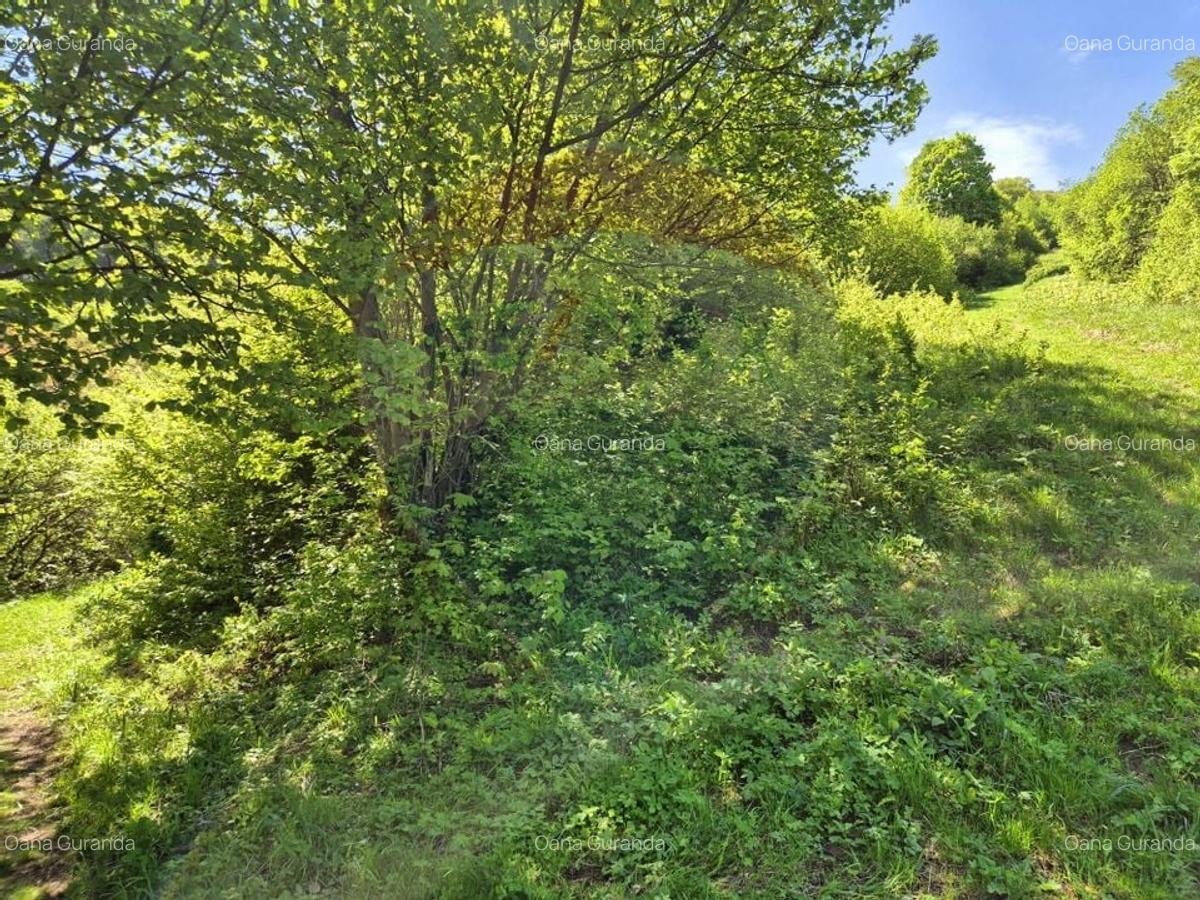 Comision 0%/ Teren intravilan 1,577mp Brasov / Schei/Aer curat - 13