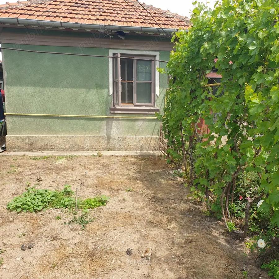 Casa de vanzare in Craiova pe Raului, teren mare - 3
