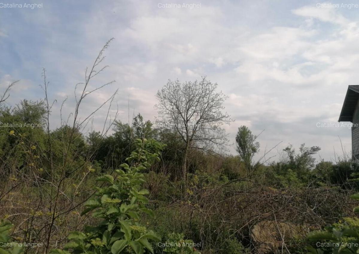 Teren intravilan suprafata 607 mp, zona Bariera Bucuresti, P - 5