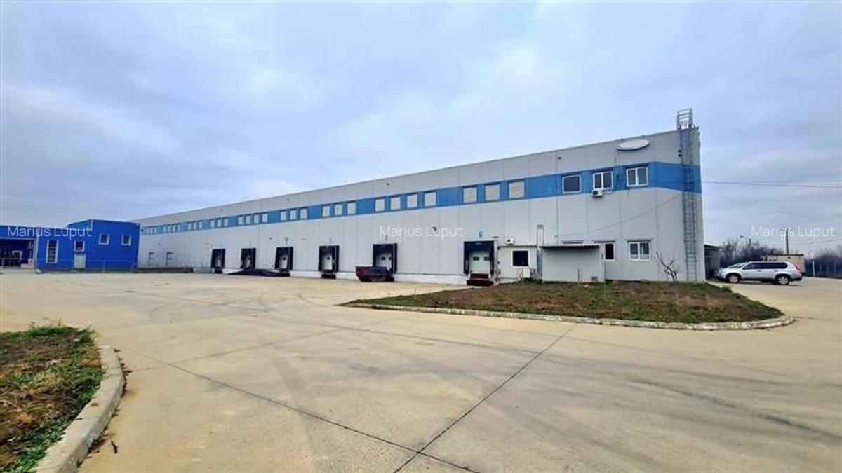 Hala industriala 6000mp, curent 1MW, Timisoara Vest - 3