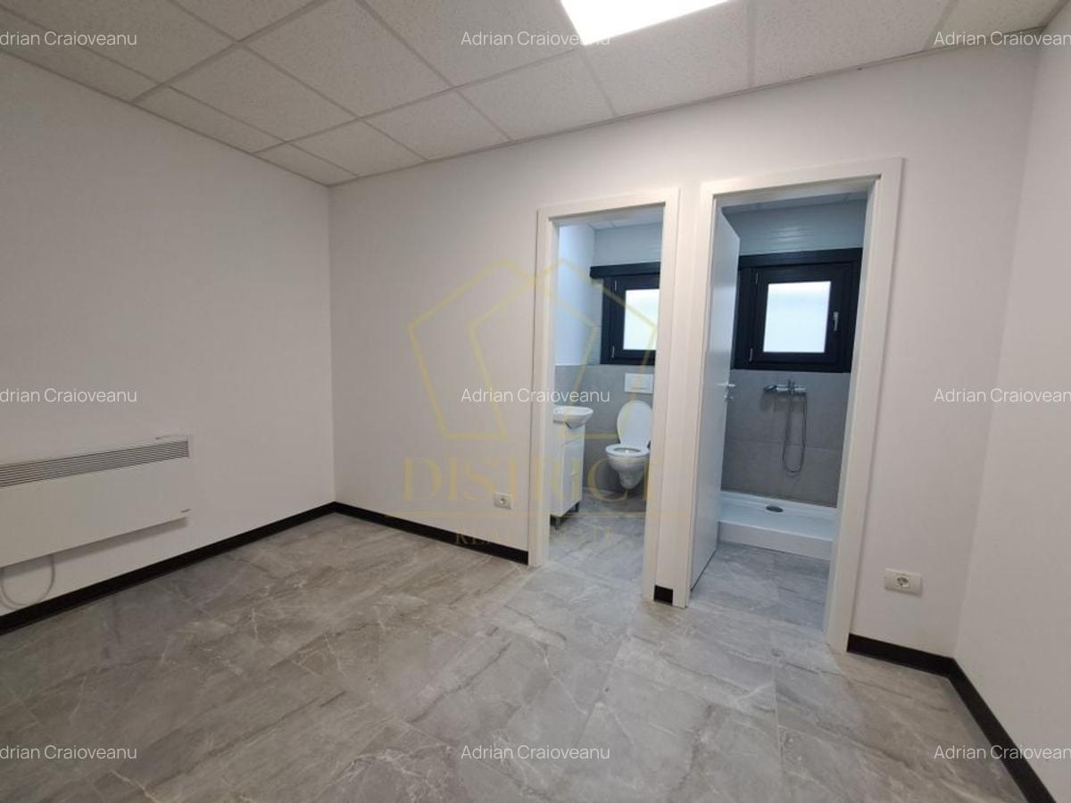 COM 0% Hale servicii, birouri și depozitare de inchiriat  | Giarmata-Vii - 8