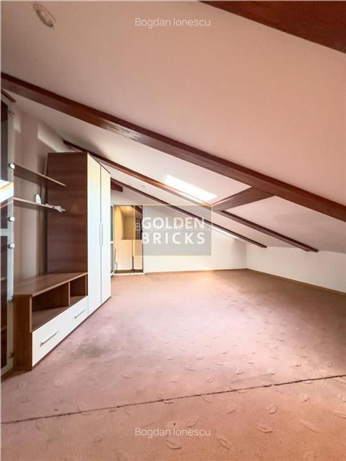 Piata Muncii | Vila individuala | Reprezentativa | Metrou 5 minute - 11