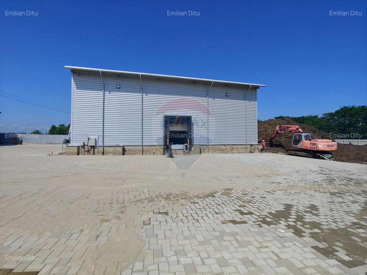 Depozit frigorific de 216 mp cu 4 celule, Scheia, Suceava - 4
