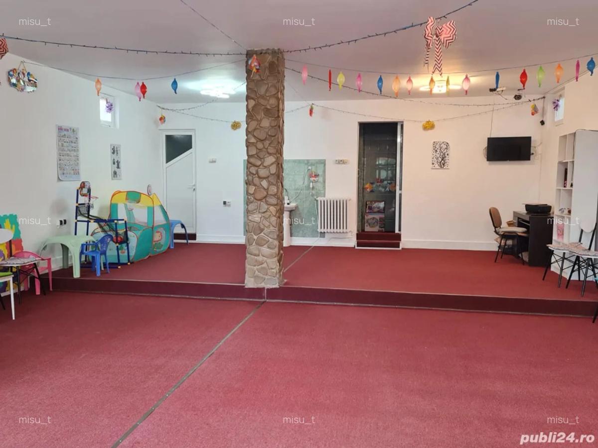 Spatiu comercial Valea Lupului - 2