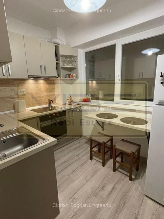 Apartament 1 camera Tatarasi Oancea - Newton Apartaments - 7