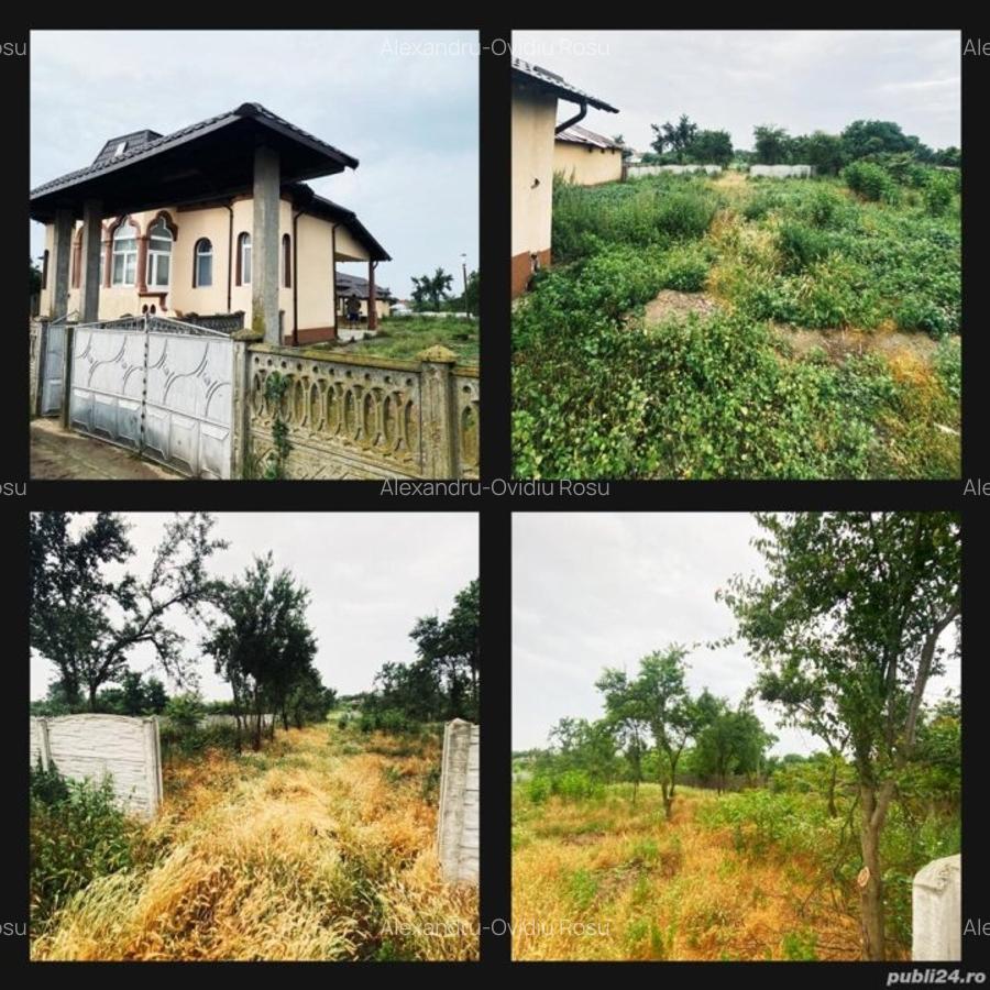 Casa de Vanzare in Celaru, sat Ghizdavesti - DOLJ cu Teren 5000m2 - 3