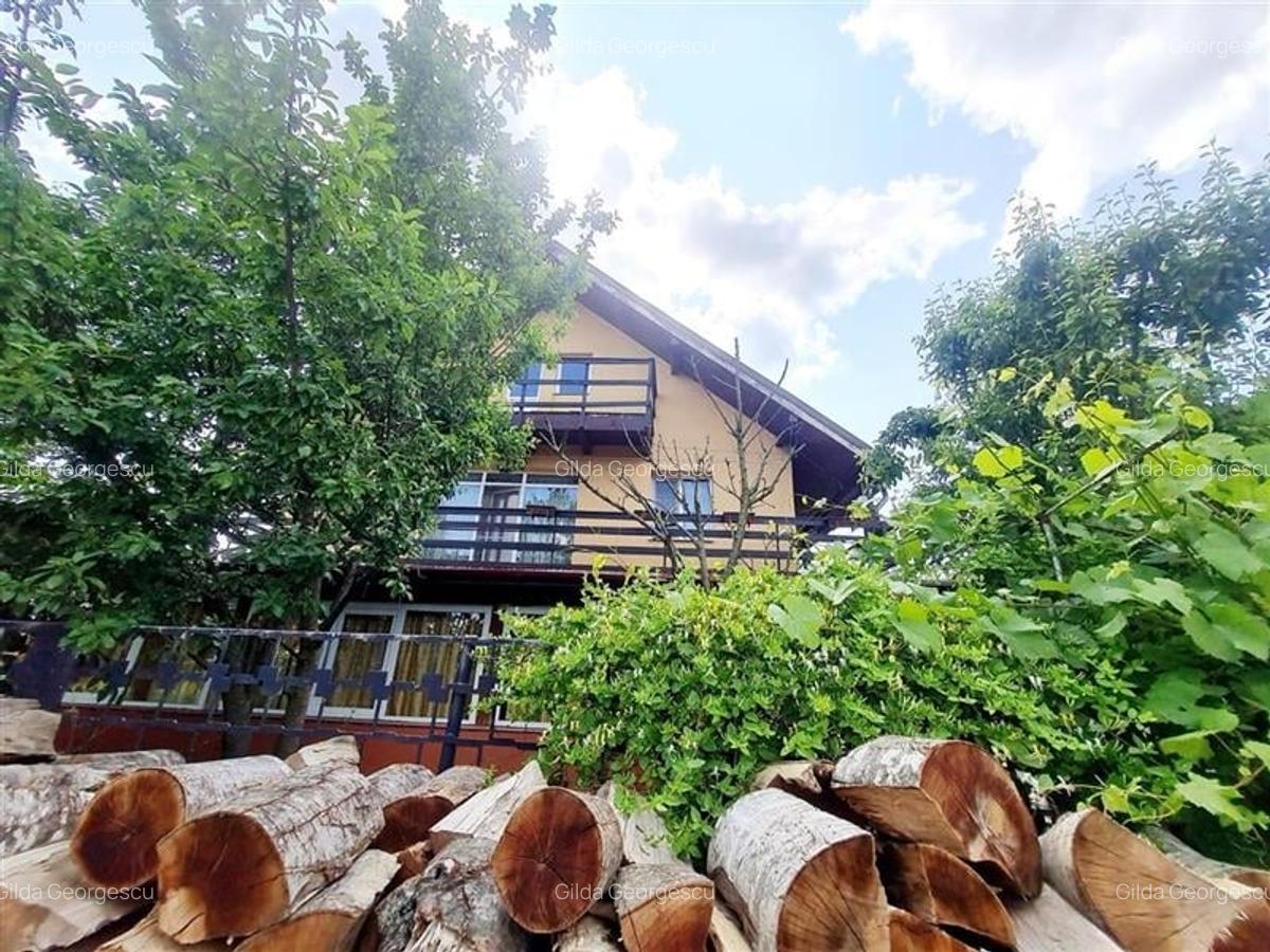 Refugiu elegant in Harman, Locuinta luminoasa, gradina proprie, priveliste panor - 9