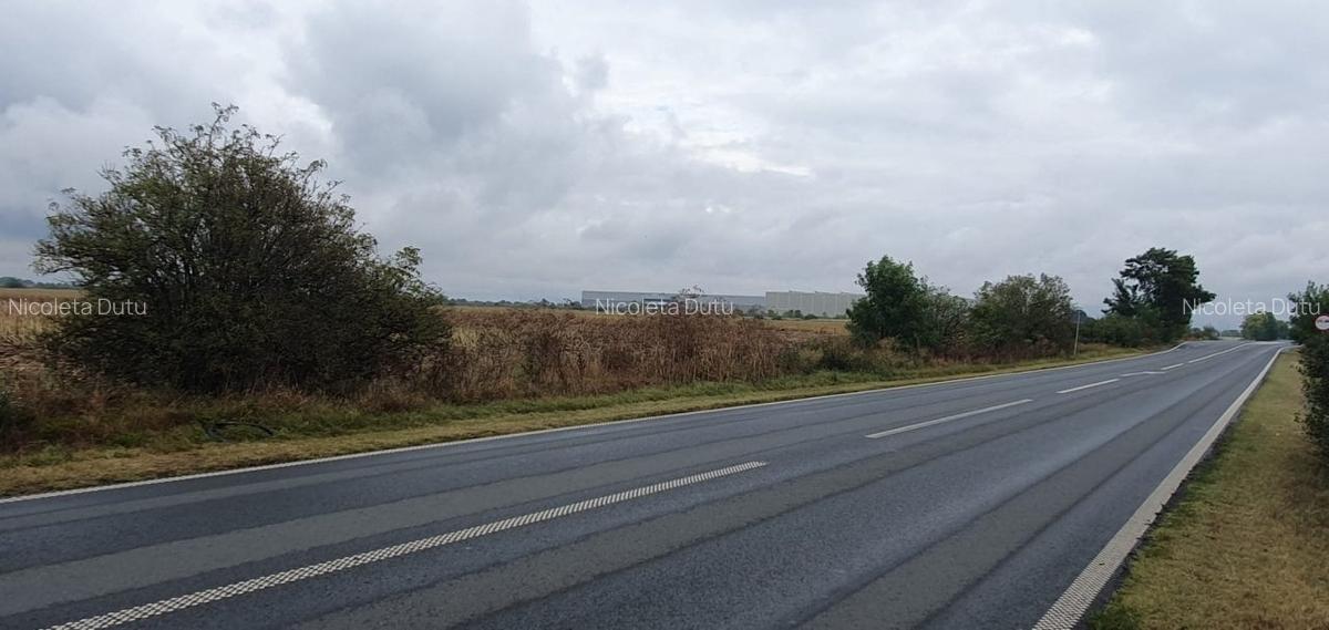 Dudestii Noi 10 ha comasate la 11 km de Timisoara - Ideal investitie ! - 5