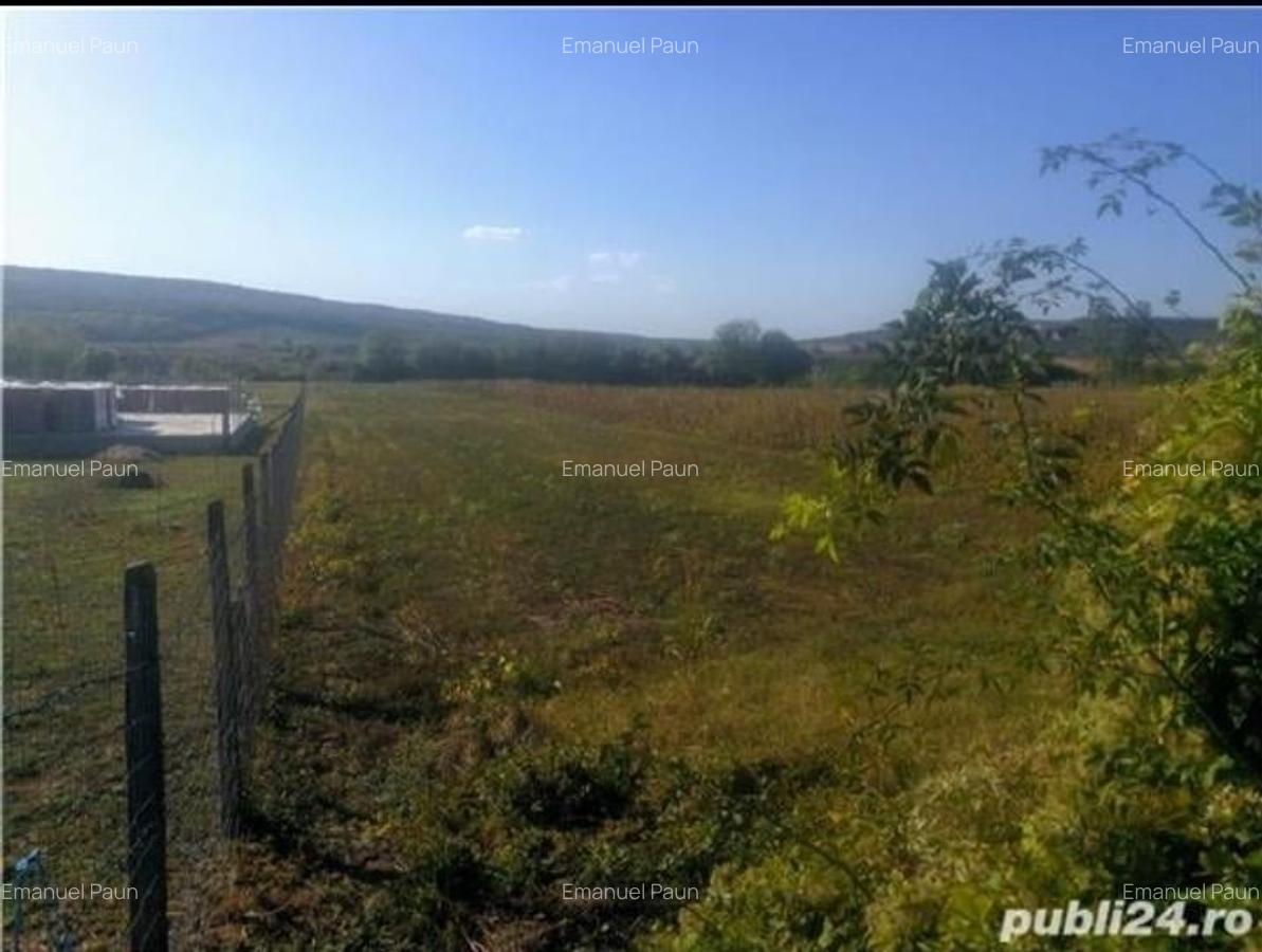 Teren Construcții intravilan de 4500 mp, în Iordăcheanu - 1