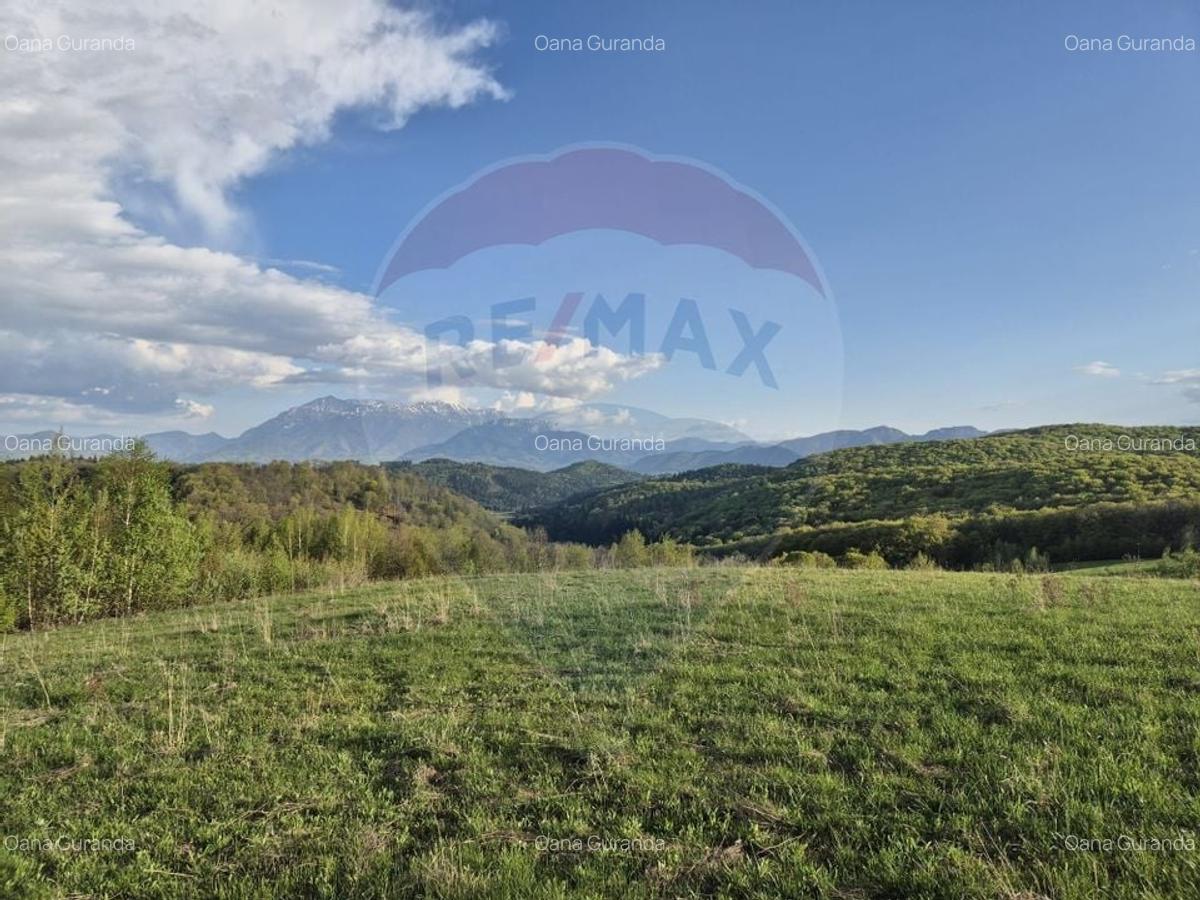 Teren Construcții intravilan de 11600 mp, în Poiana Mărului - 15