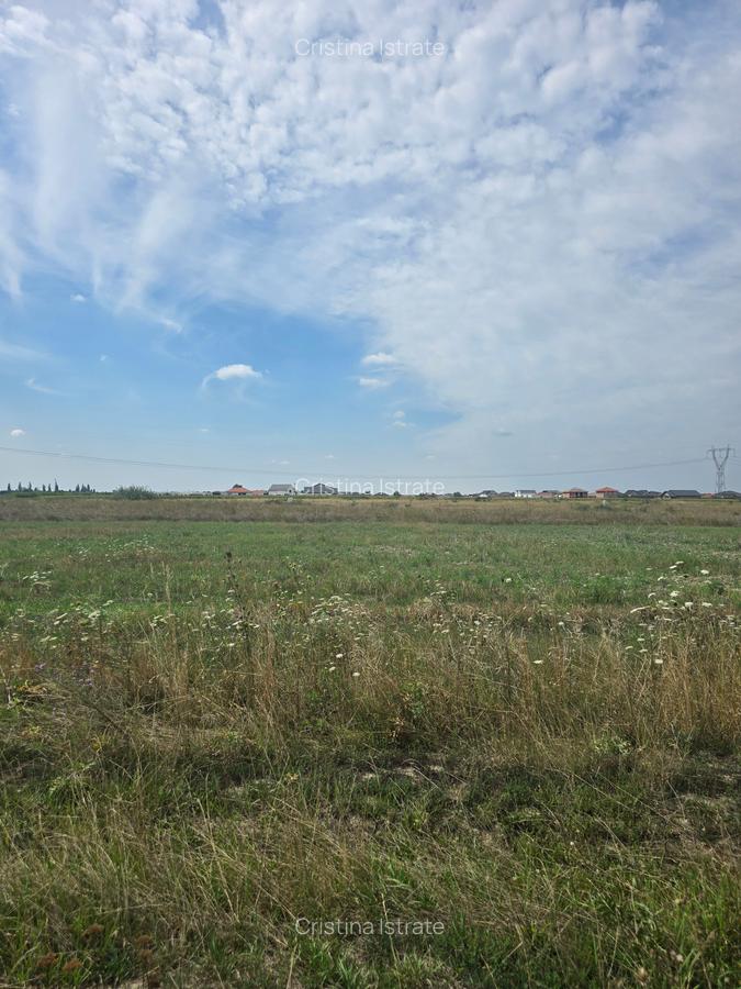Mosnita Veche - 11 parcele - 10800 mp- CF individuale - 8
