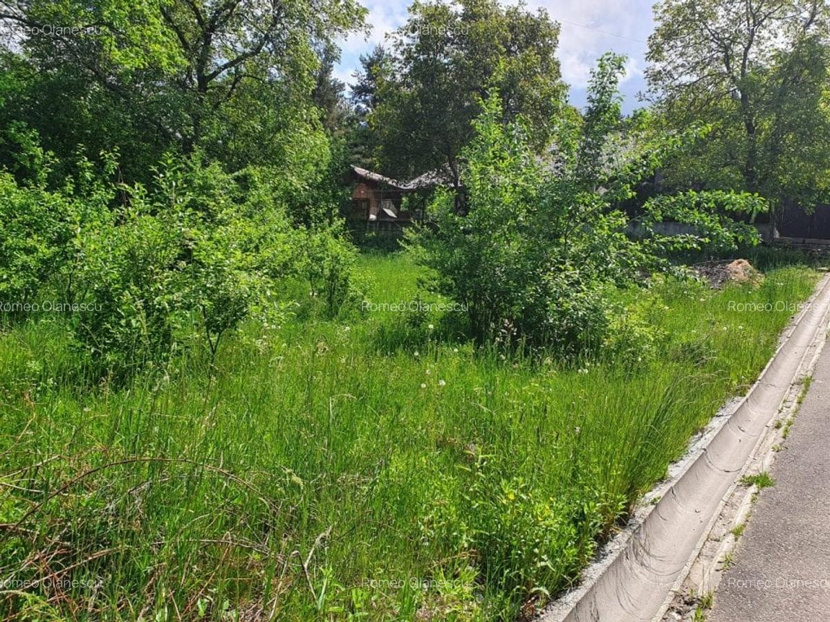 Teren Construcții intravilan de 834 mp, în Săcele - 6