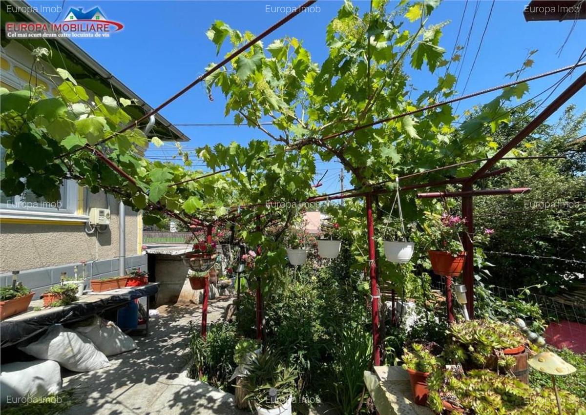 Casa de zona Alexandru cel Bun Tulcea - 10