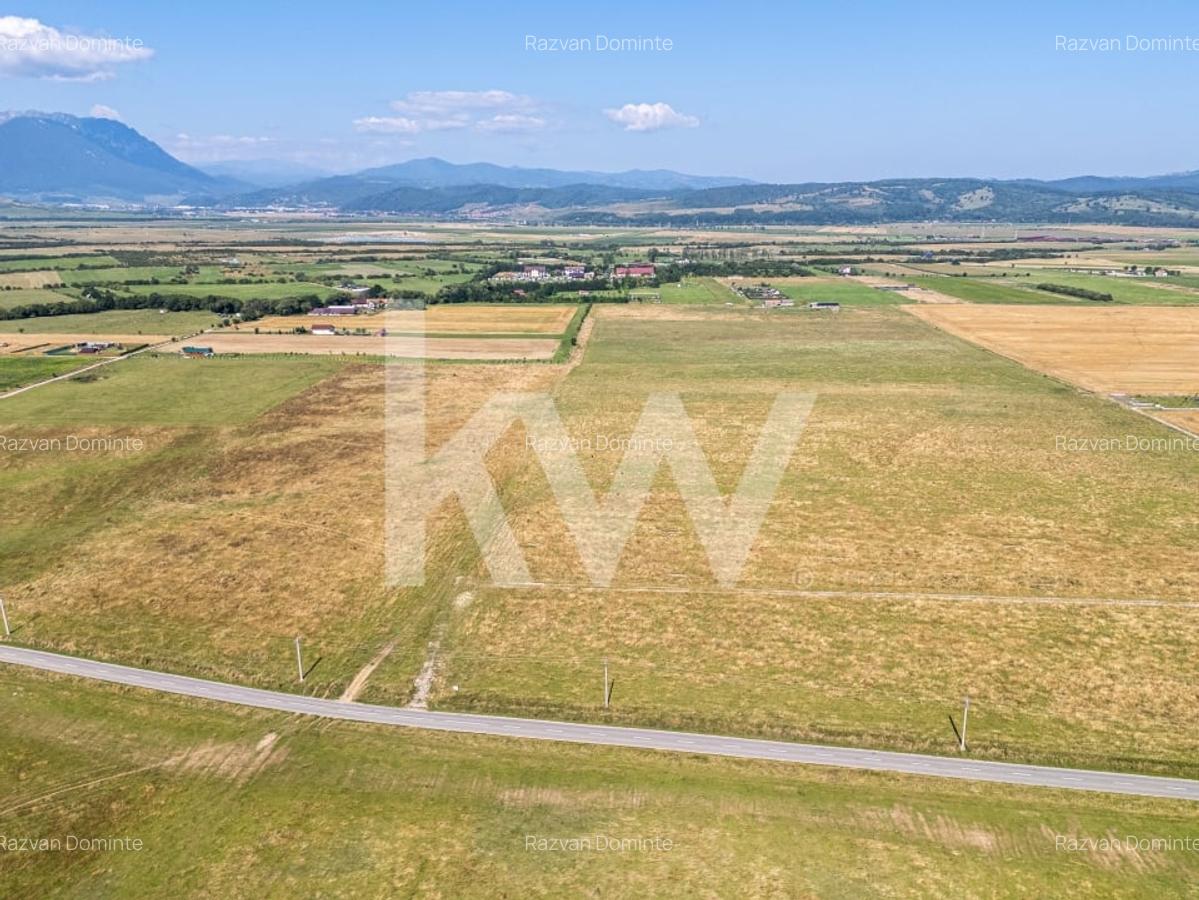 Teren : Parcele de 1.000 mp in Glajerie, Rasnov - comision 0% pentru cumparator! - 1