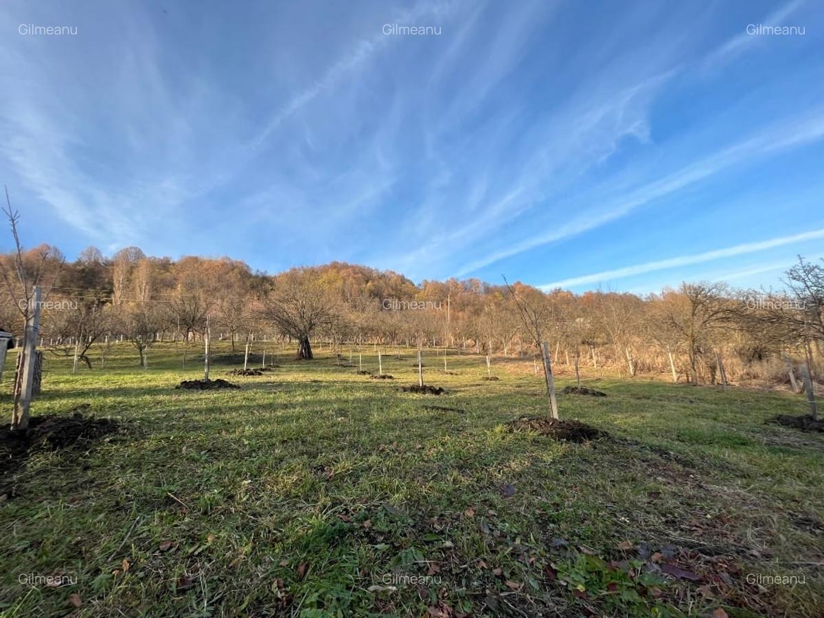 Vila constructie si livada - 1