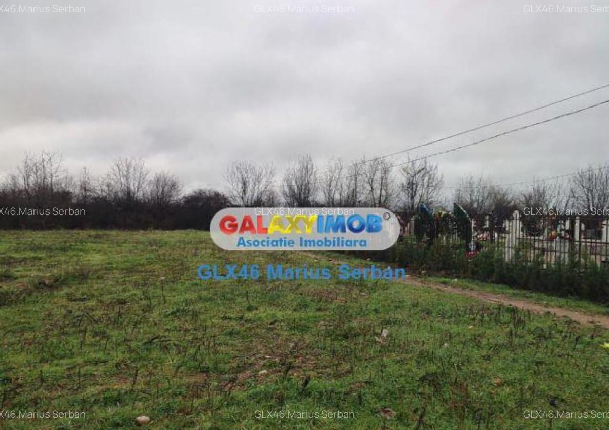 Teren extravilan Targoviste - 4