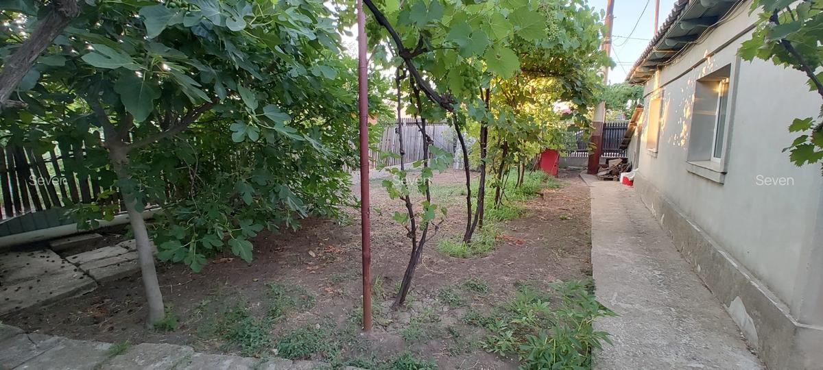 Casa 4 camere - Tuzla - zona Centrala - 85.000 euro (Cod E2+E8) - 12