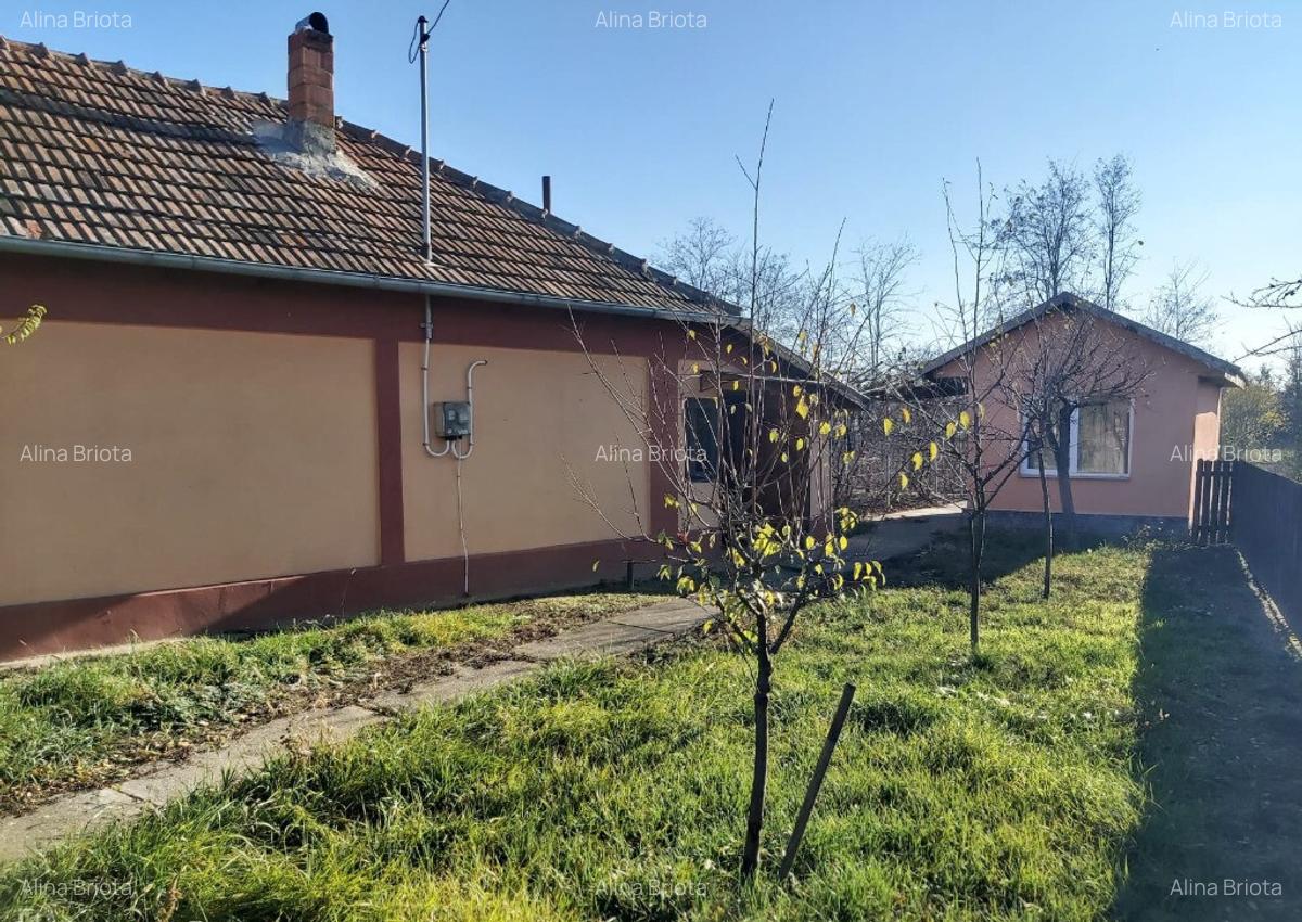 Casa plus teren Andrasesti - 3