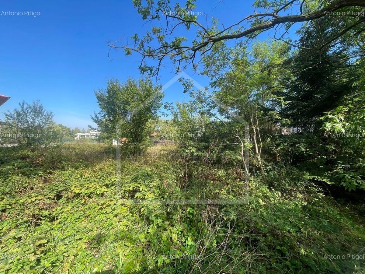 Teren Construcții intravilan de 1154 mp, în Corbeanca - 2