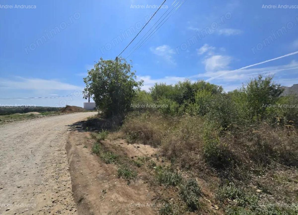 Teren Paleu Intravilan - 3