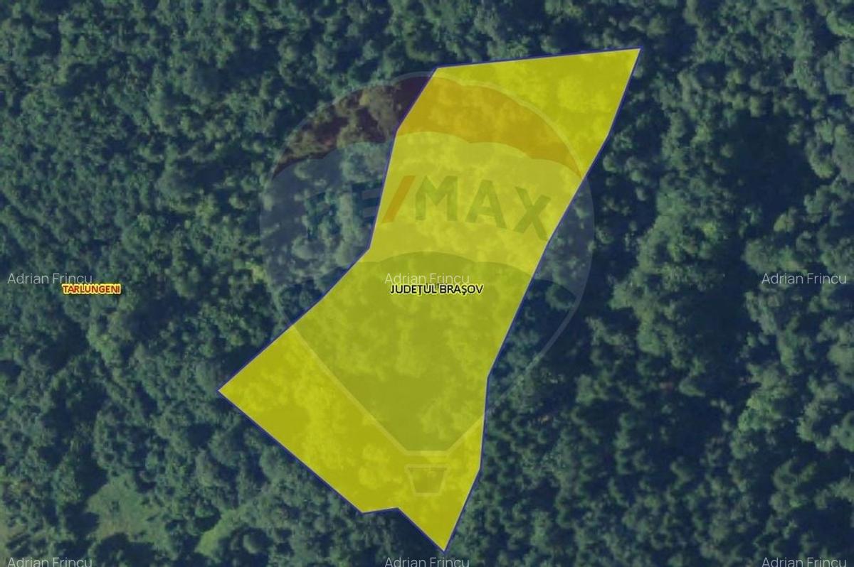 Teren extravilan de 14600 mp, în Tărlungeni - 2