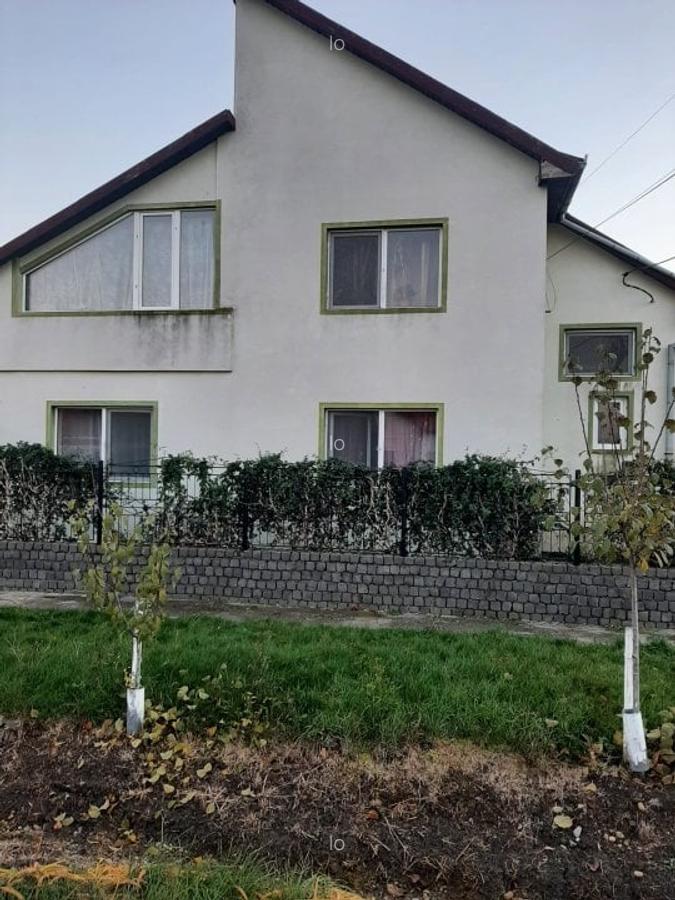 Casă cu 14 camere în Recaș - 1