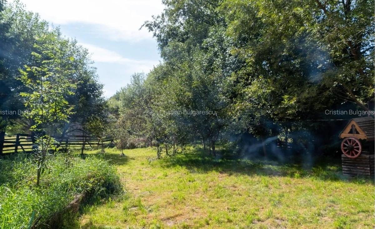 Casă de vacanță spațioasă în Moieciu de Jos - 6