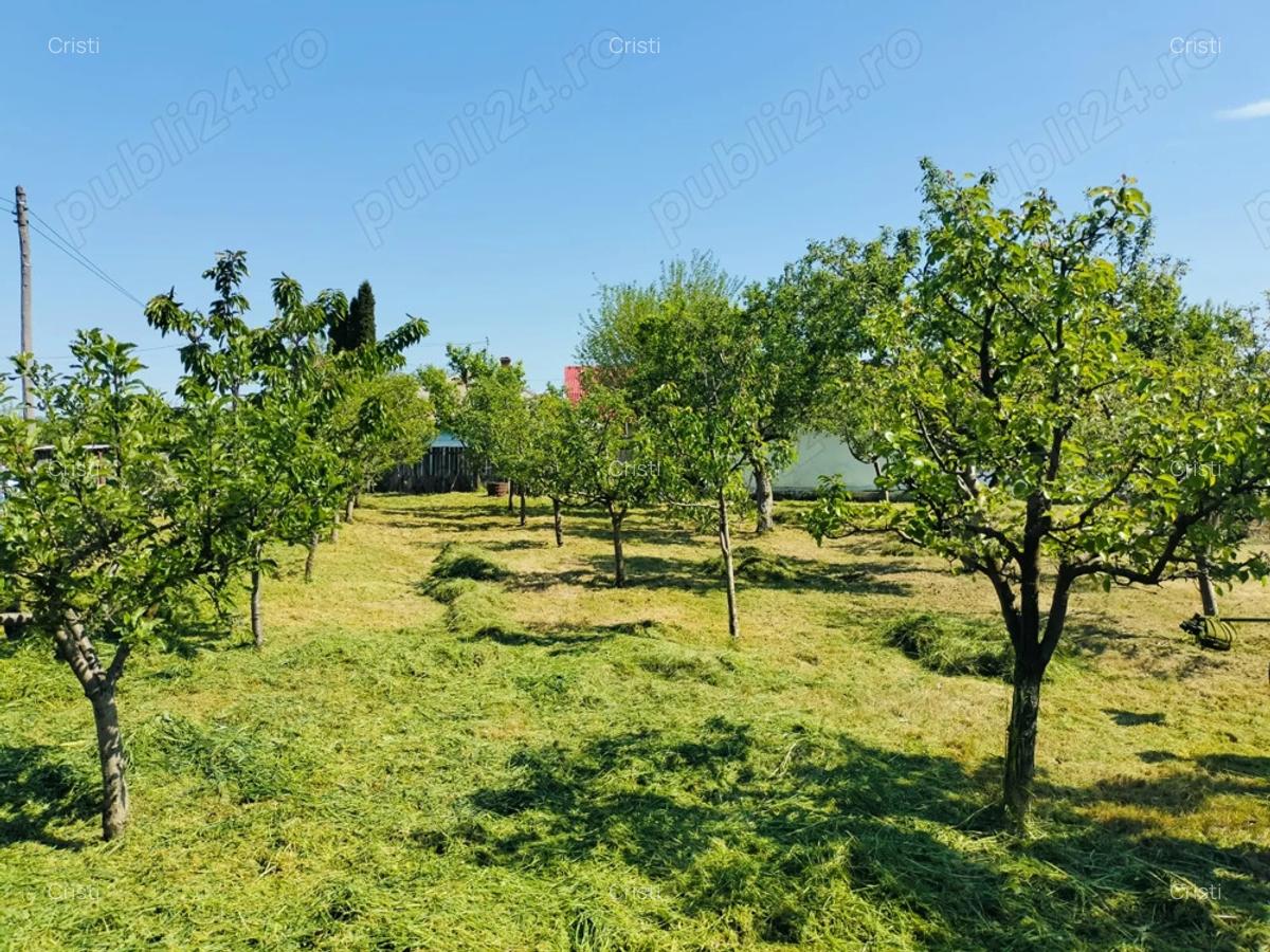 PERSOANA FIZICA!Casa batraneasca cu teren si livada,sat Macaresti, com Prisacani iasi - 5