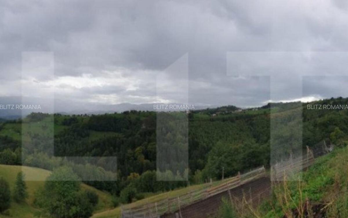 Teren 13.570 mp, Moieciu Pestera - 24