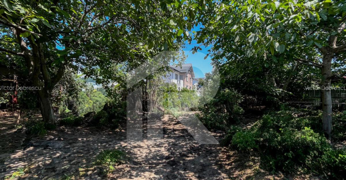 DE VANZARE CASA + TEREN in Dobroestiul (Vechi) - 10