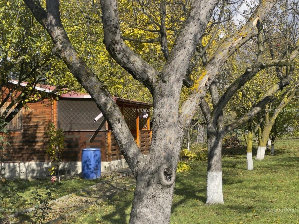 Casute Breaza, teren 1140 mp - 3