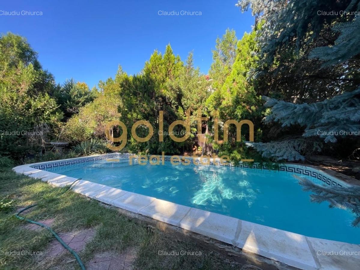 SUPERB/GRADINA/VEGETATIE MATURA/VILA INDIVIDUALA/PISCINA EXTERIOARA - 29