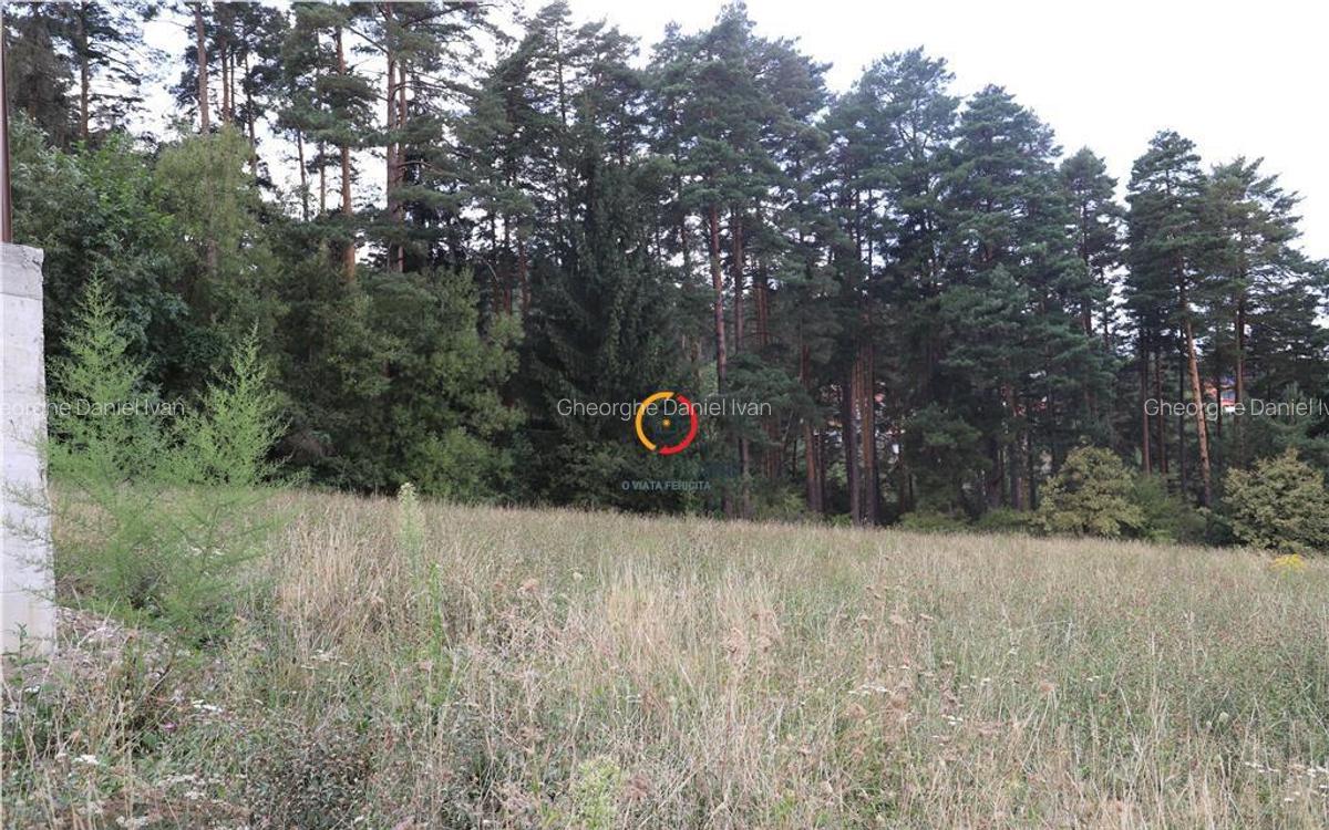 Teren intravilan cu PUZ si PUD 2 loturi - 1