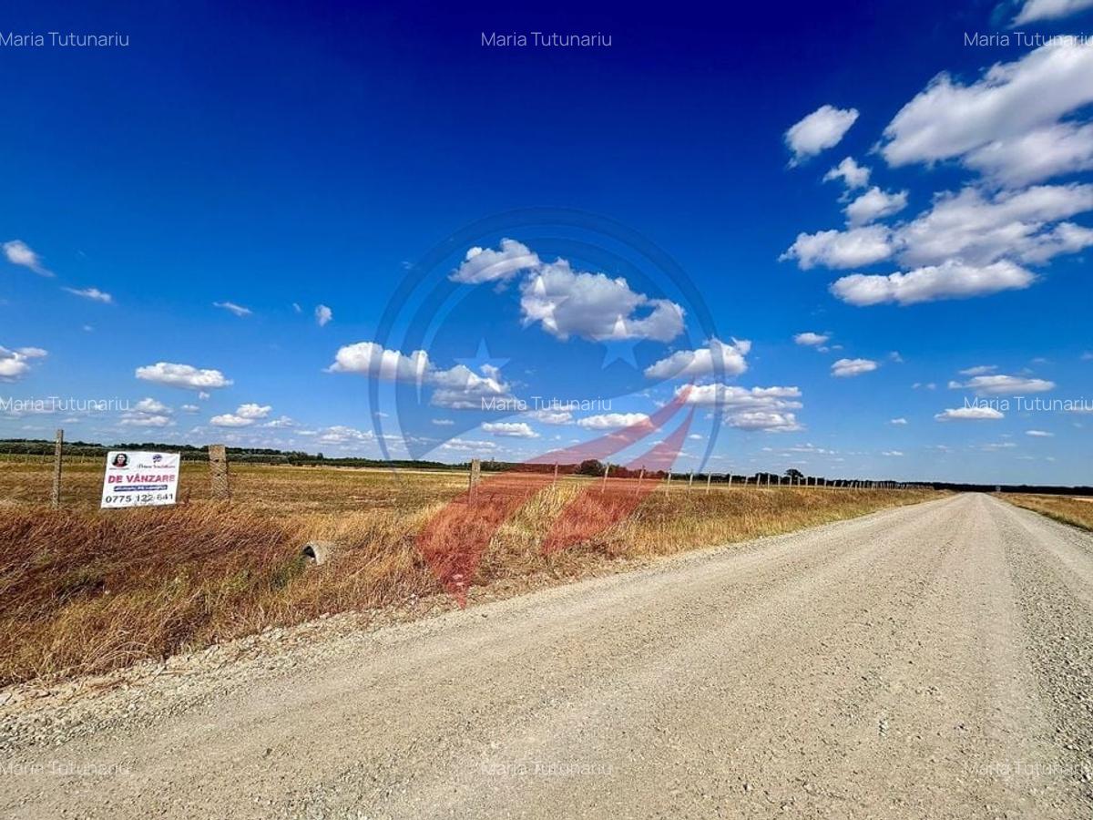 Teren 30.500 mp de vanzare in Livezi, Dolj - 3