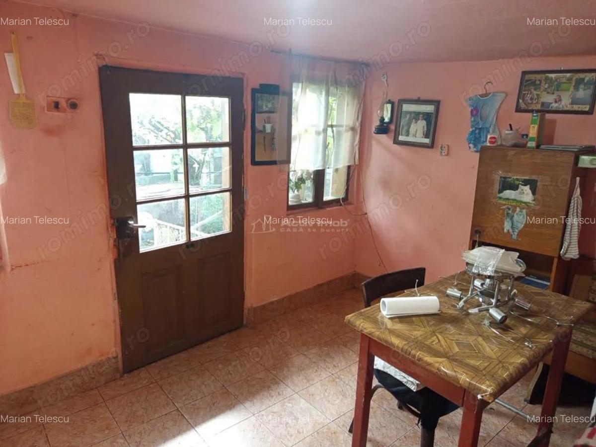 Bradisoru de Jos, Casa 14 Incaperi + Teren 1439MP - 4