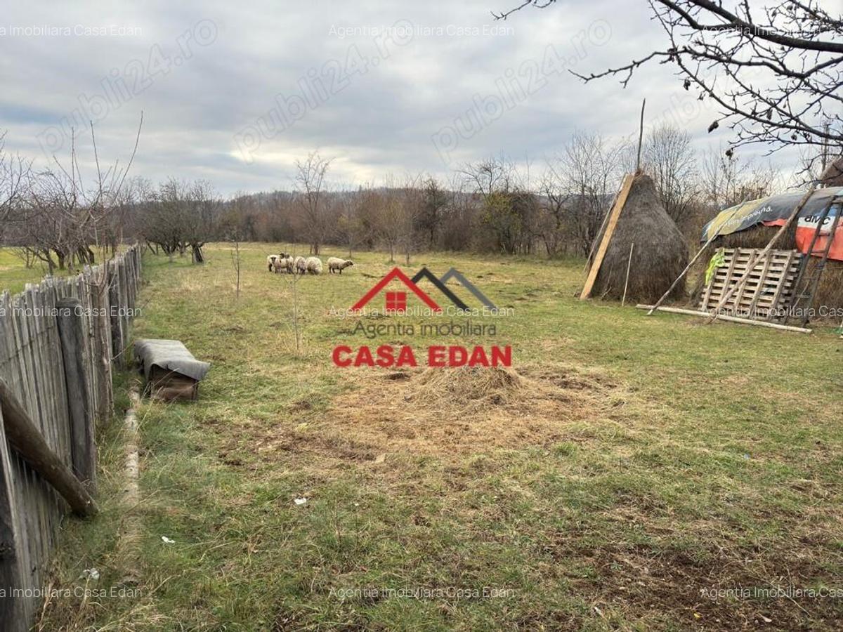 Teren intravilan in Brebu--2080mp--22e - 5