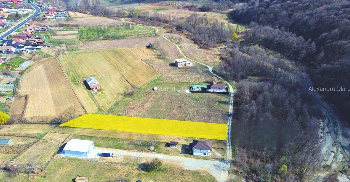 BUDESTI - TEREN 2550 MP - 8