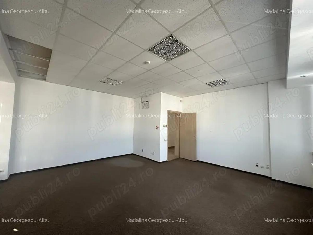 Theodor Pallady stradal birou 410 mp utili LIBER - 4