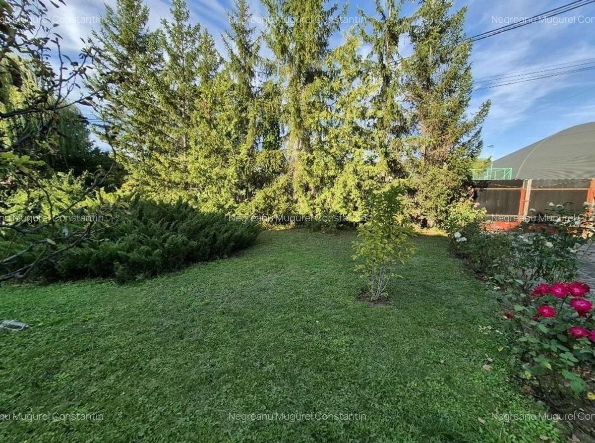 Cabana de lemn cu fundatie 86 mp+ livada pomi fructiferi+teren 847 mp - 5
