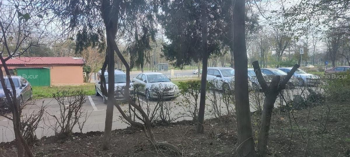 2 CAMERE DE INCHIRIAT - TOMIS NORD - 10