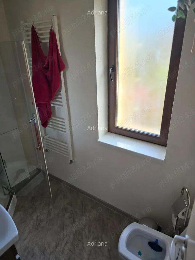 Casa individuala cu mansarda teren 615m toate utilitatile amenajata comuna Dumbravita - 7
