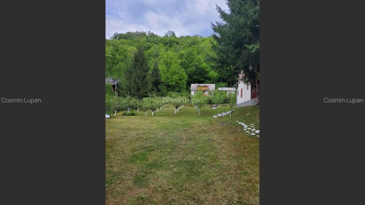Proprietate Unică în Inima Naturii - Galaoaia, Mureș - 3