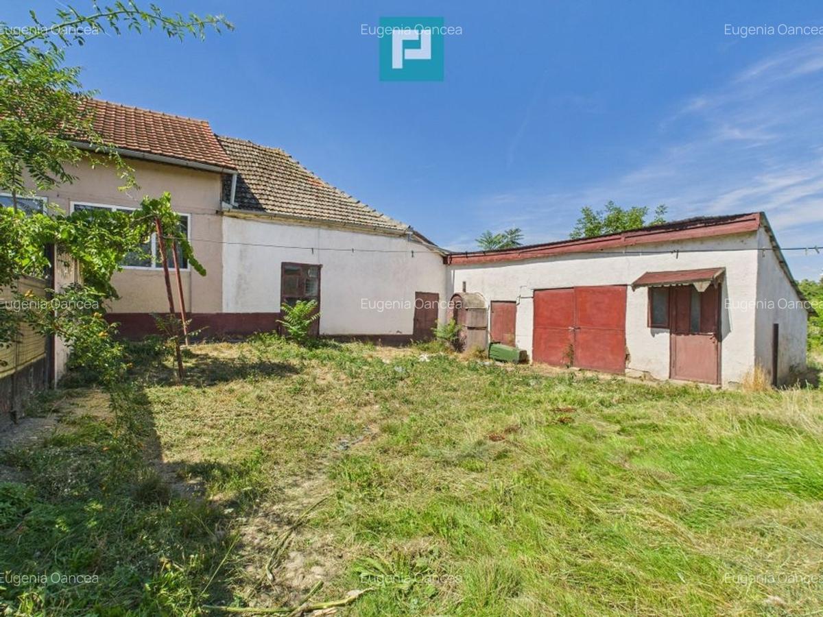 Teren 4919 mp– Comuna Călacea - 6