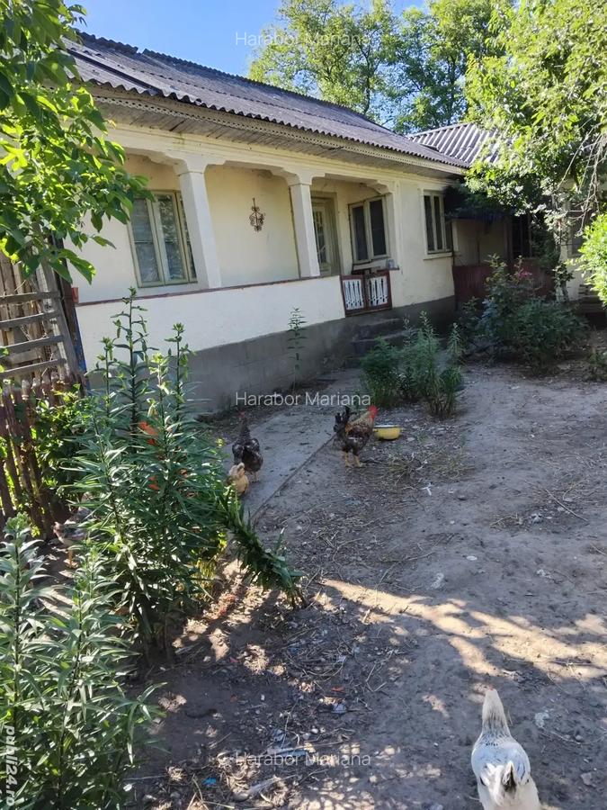 Vand casa Campuri - 1